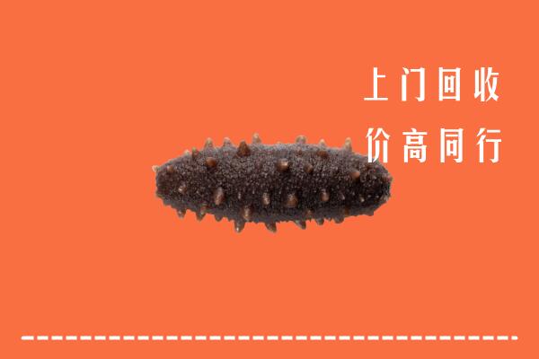 衡水高价回收海参