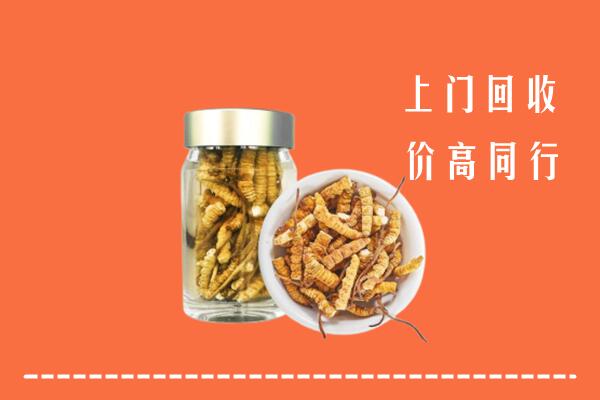 衡水回收冬虫夏草